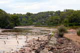 Naturschutzgebiet Cala Mondrago: Torrent de sa Font de n'Alis